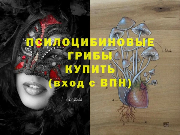 спиды Алзамай